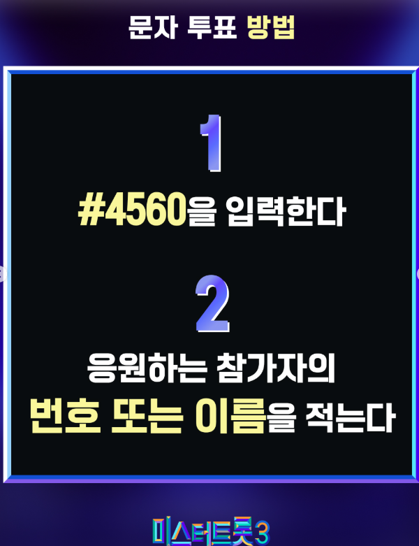 대국민문자투표