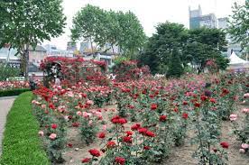 제22회 장미축제 기본정보와 축제 소개 지원이 최수호 출연