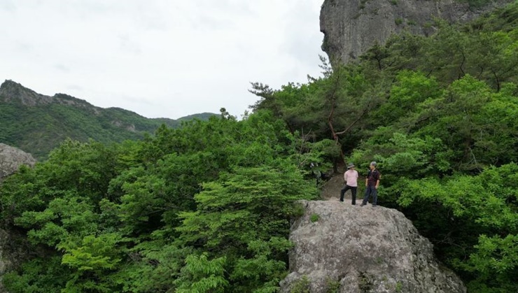 고창-선운사