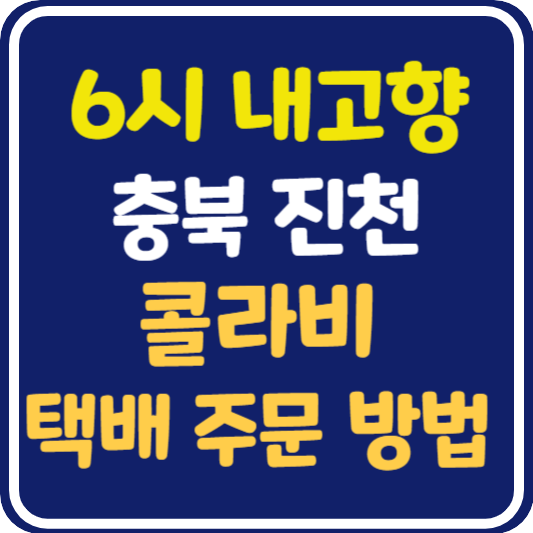 6시 내고향 진천 콜라비 택배 주문 방법