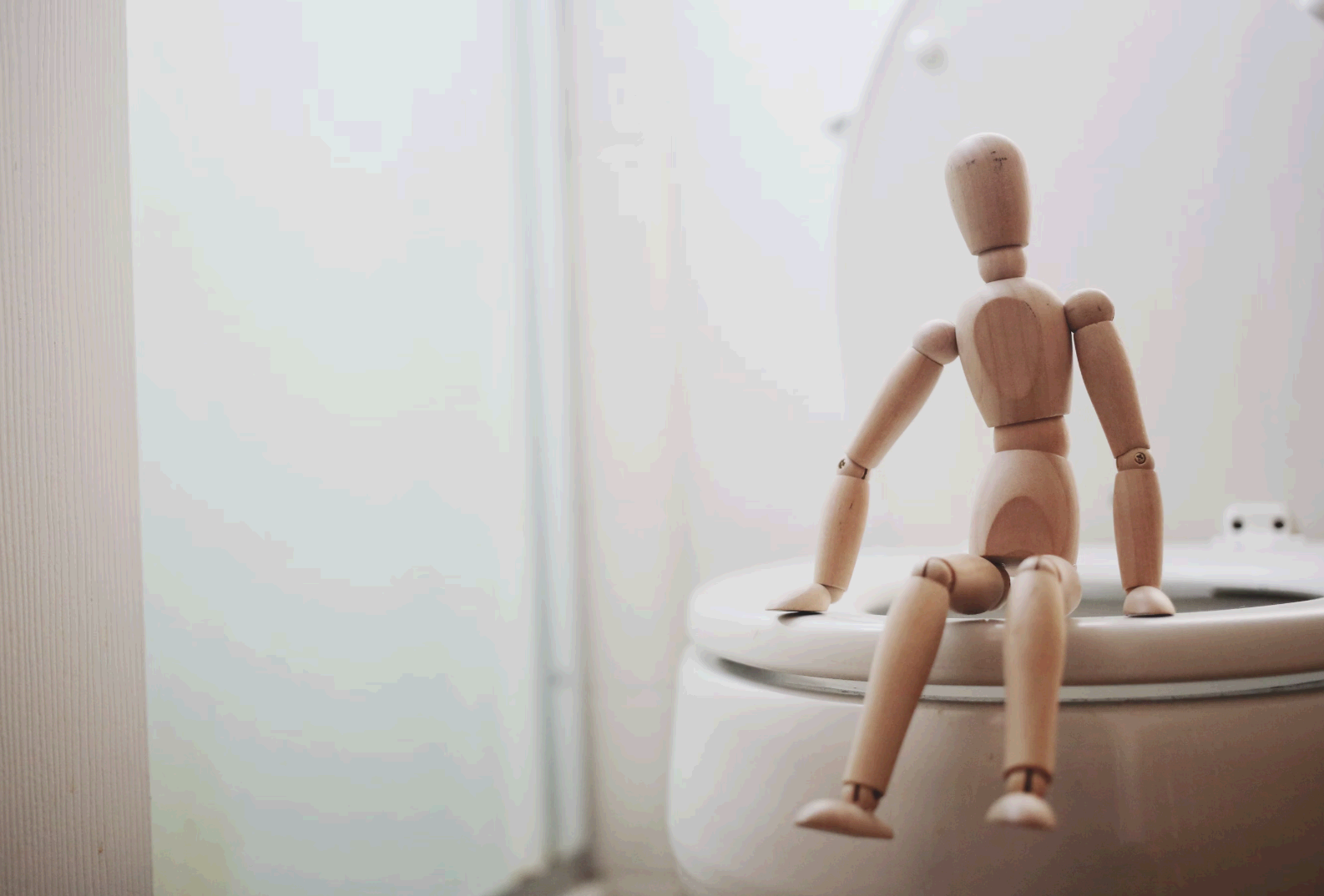 옛날 한옥에는 화장실이 왜 집 밖에 있었을까? – 위생과 건축의 관계