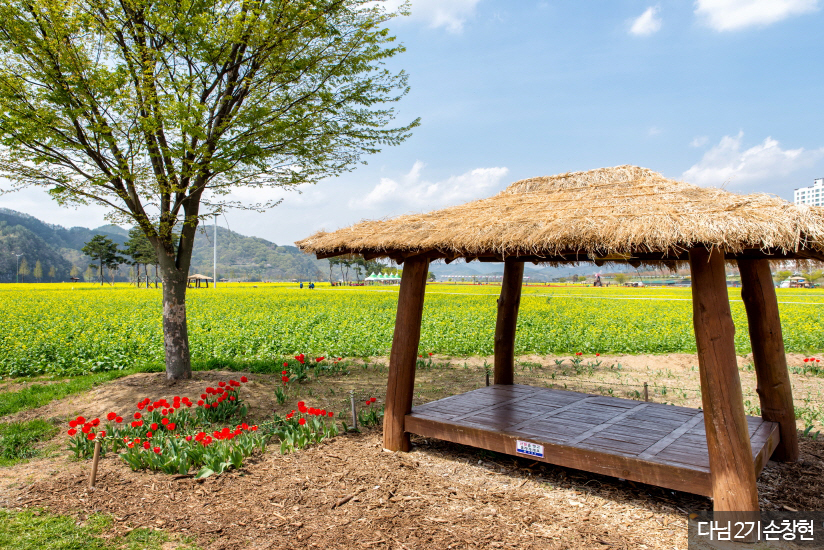 창녕 가볼만한곳 베스트10