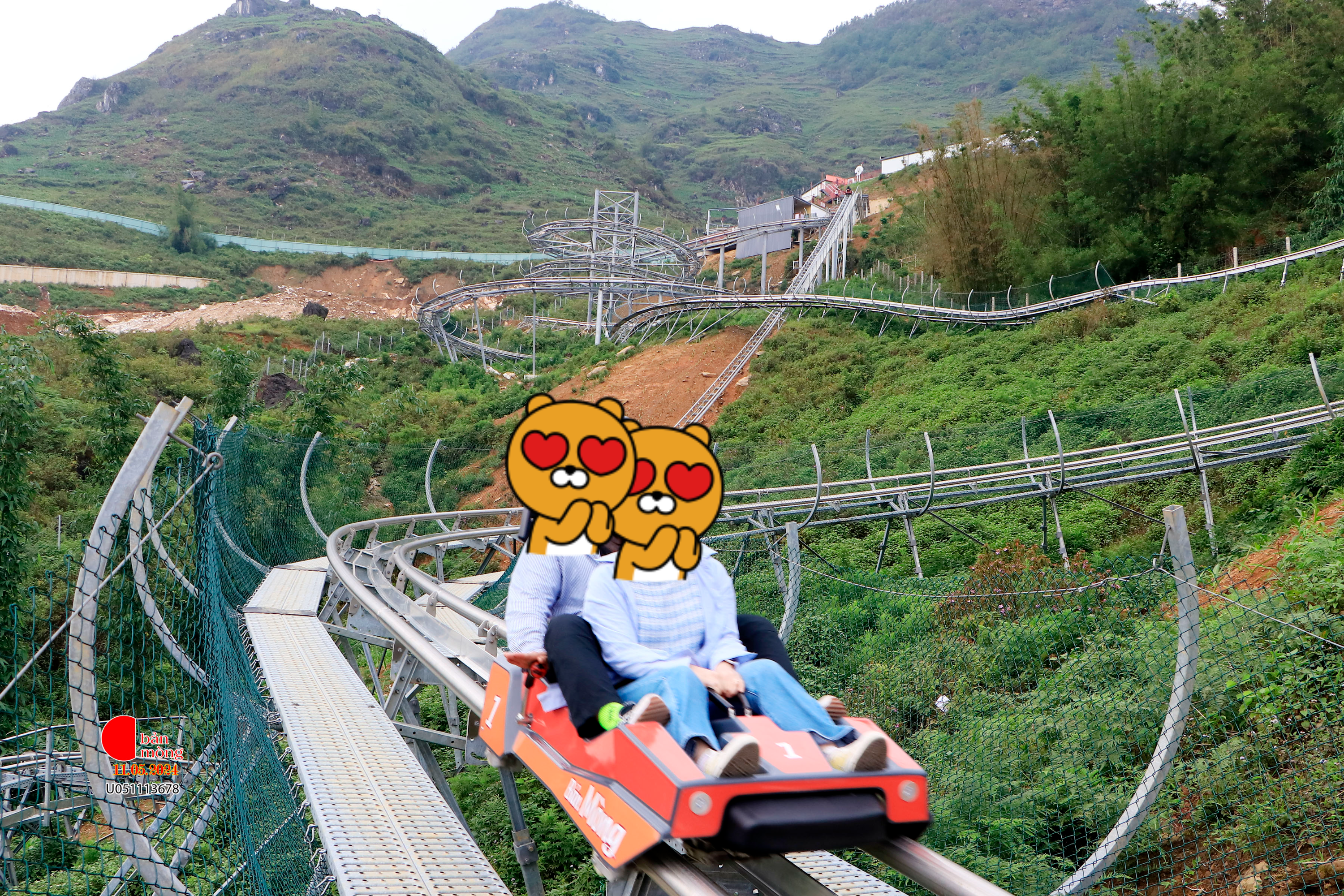 알파인 코스터