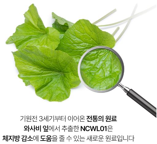 와사비잎-추출물효능-와사비-다이어트