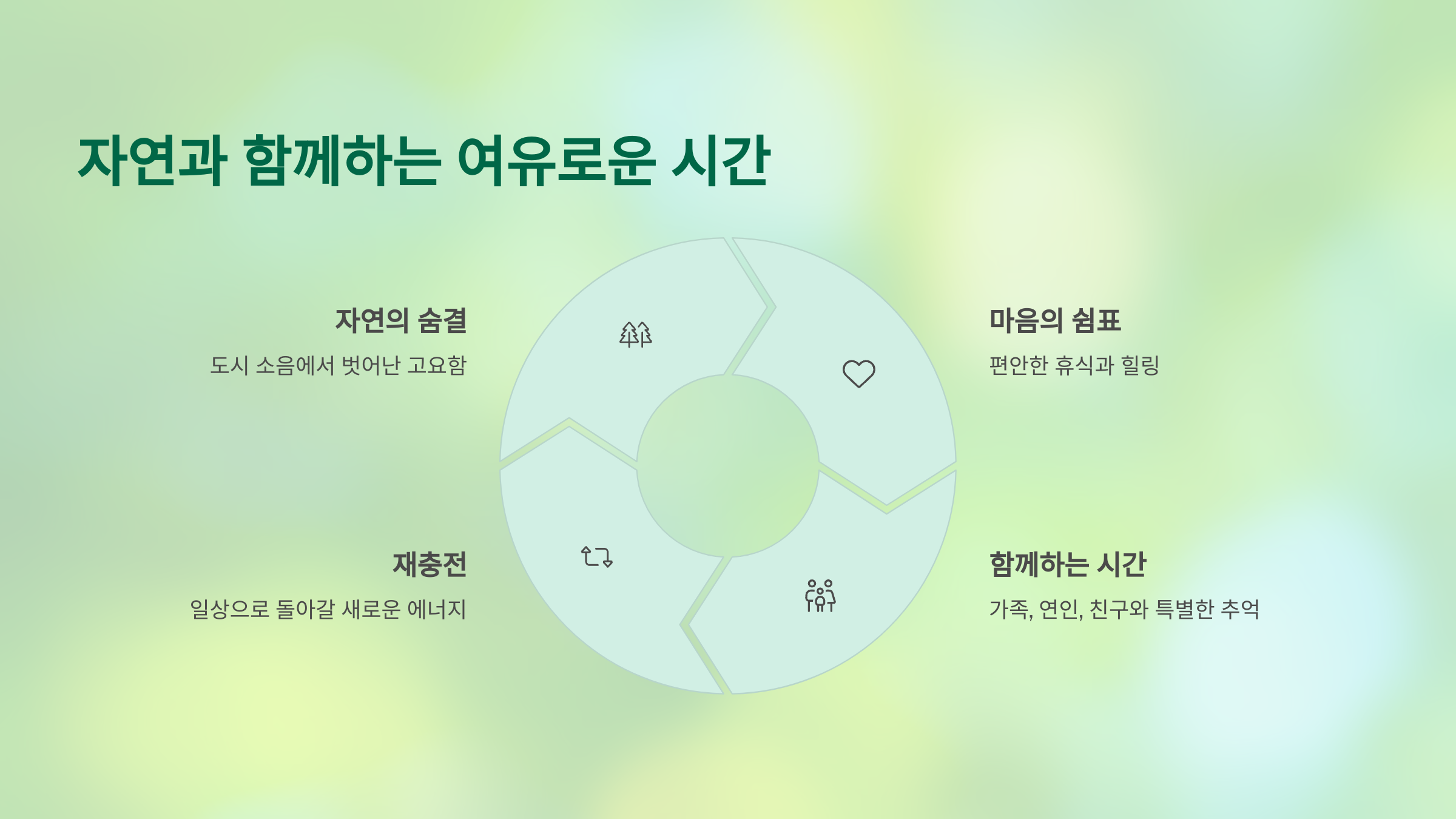 🌲 행복 휴양림, 강원도 정선에서 만나는 숲속 힐링!