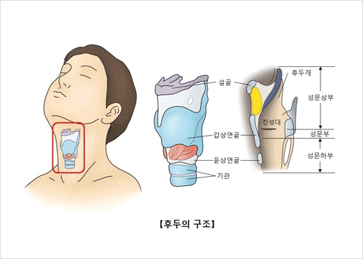후두암 초기증상,후두암증세,후두암 원인 및 후두암 예방법,후두암치료 방법