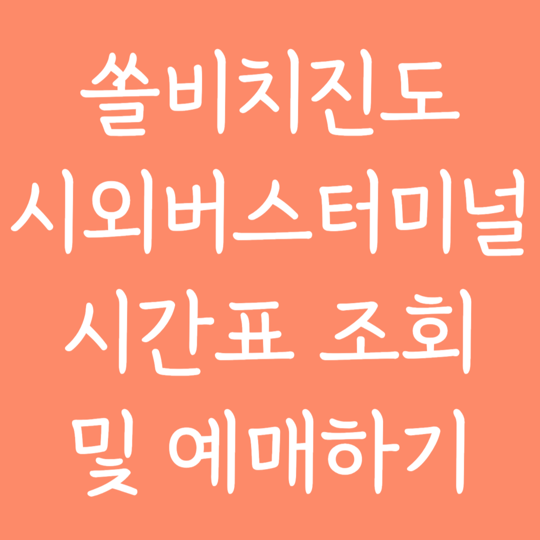 쏠비치진도 시외버스터미널 시간표조회 및 예매하기