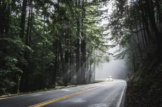 국내여행 초보자를 위한 지역별 추천