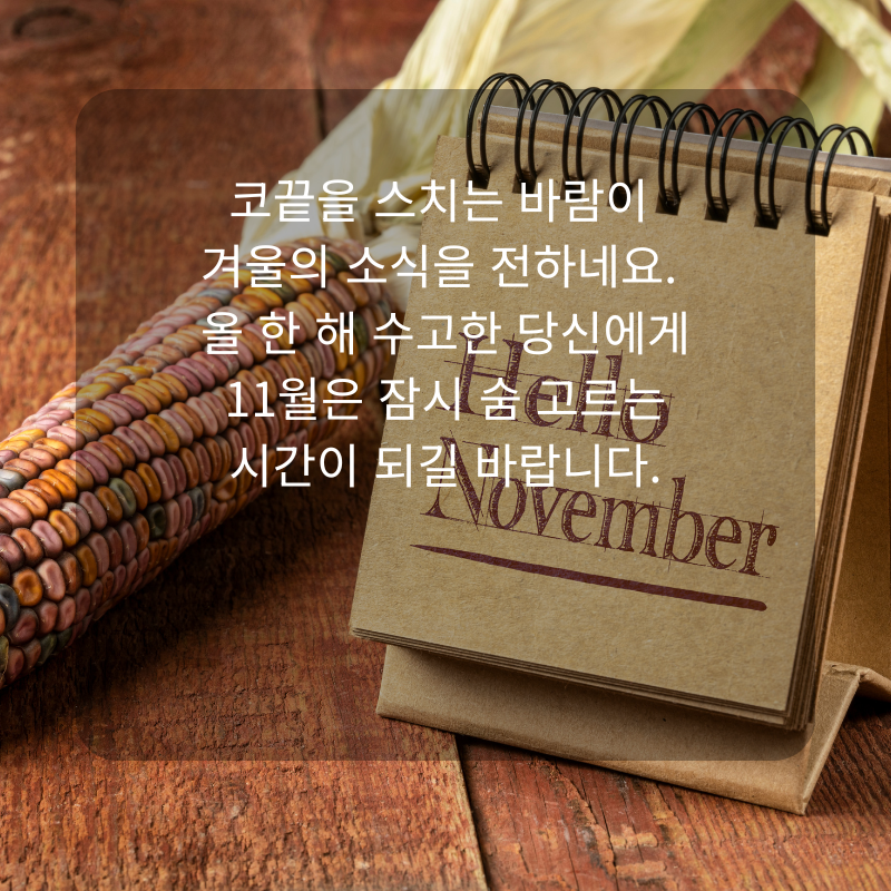 11월 인사말 문구 이미지 가을 겨울 인사글 모음집