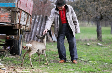 서울의 시니어 주거 양극화: 실버타운은 넘치고 요양시설은 부족 1
