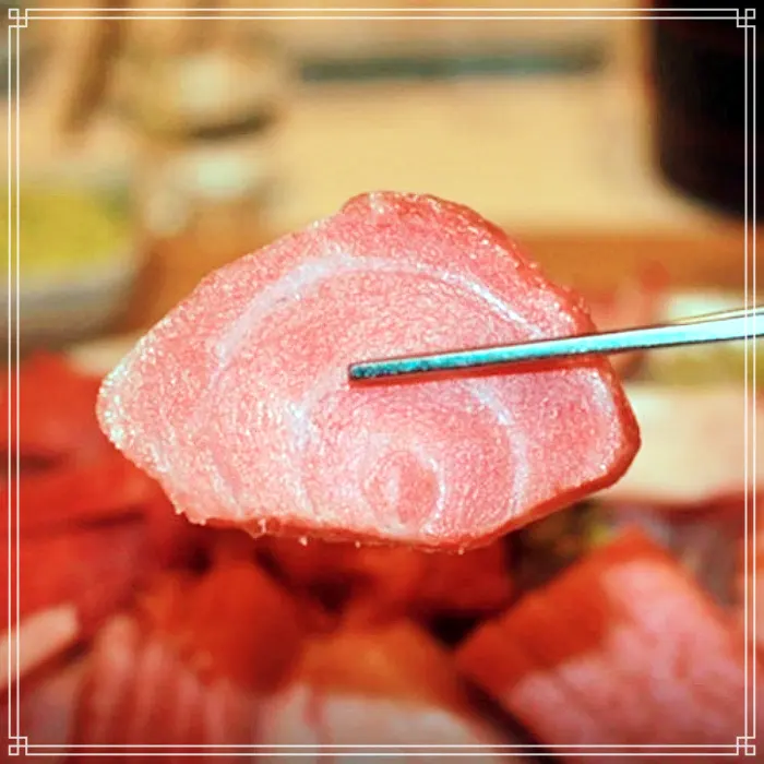 생방송 투데이 고성, 아야진, 속초 참치, 참치머리 숯불구이 맛집