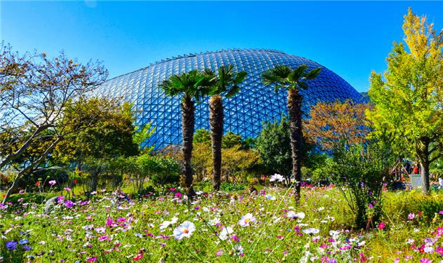 거제 식물원 정글돔