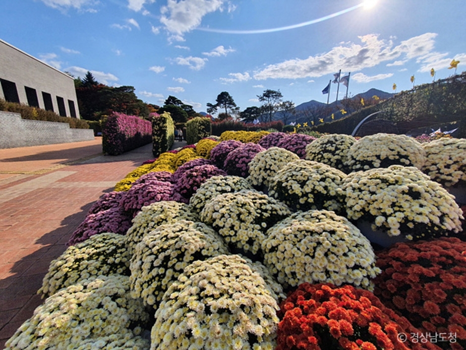 거창 가볼만한곳 베스트10