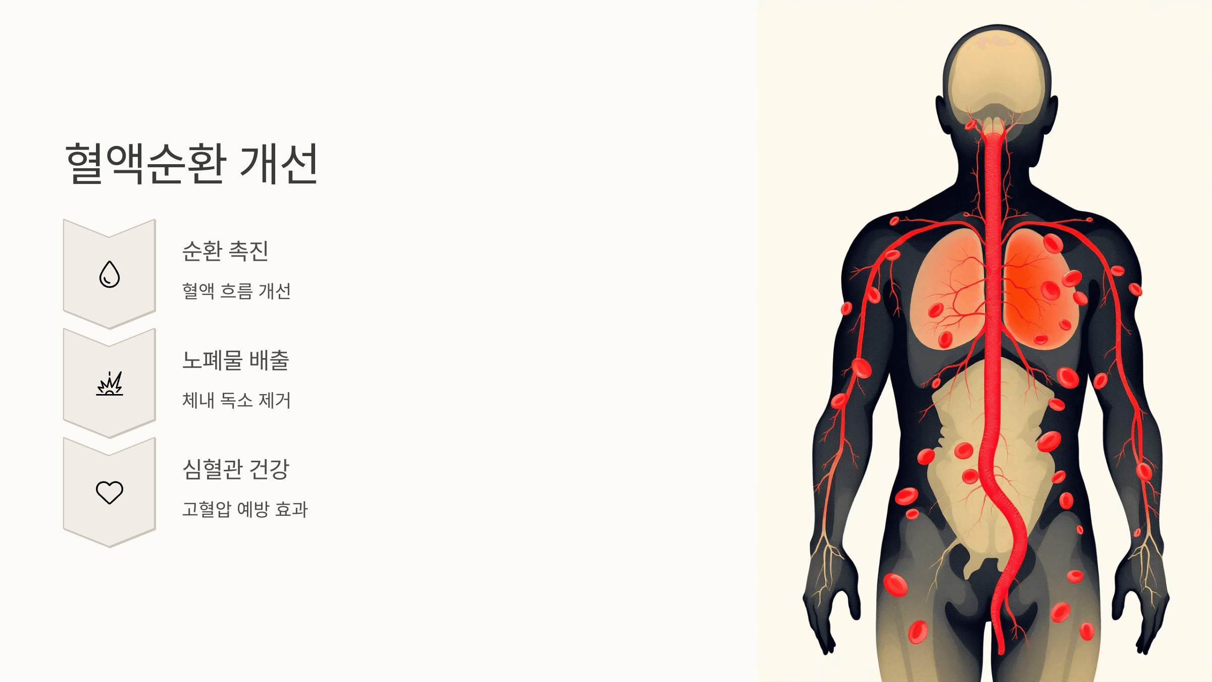 우슬뿌리 사진입니다.