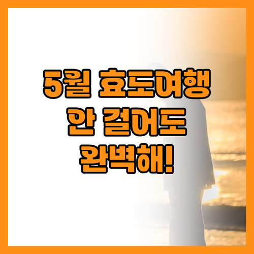 5월 부모님 여행 추천 많이 걷지 않..