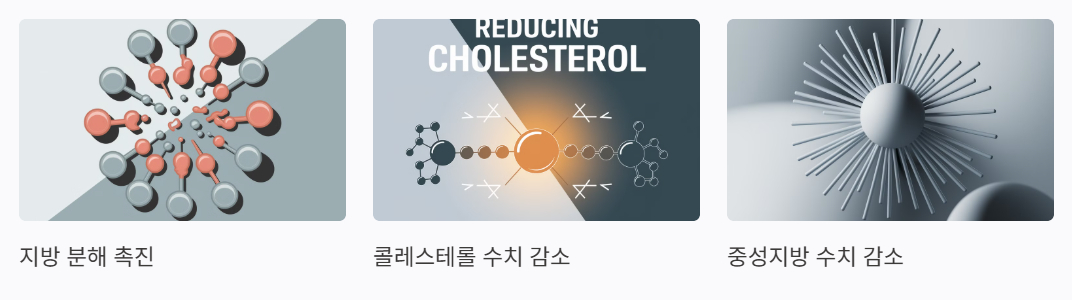 보이차 효능