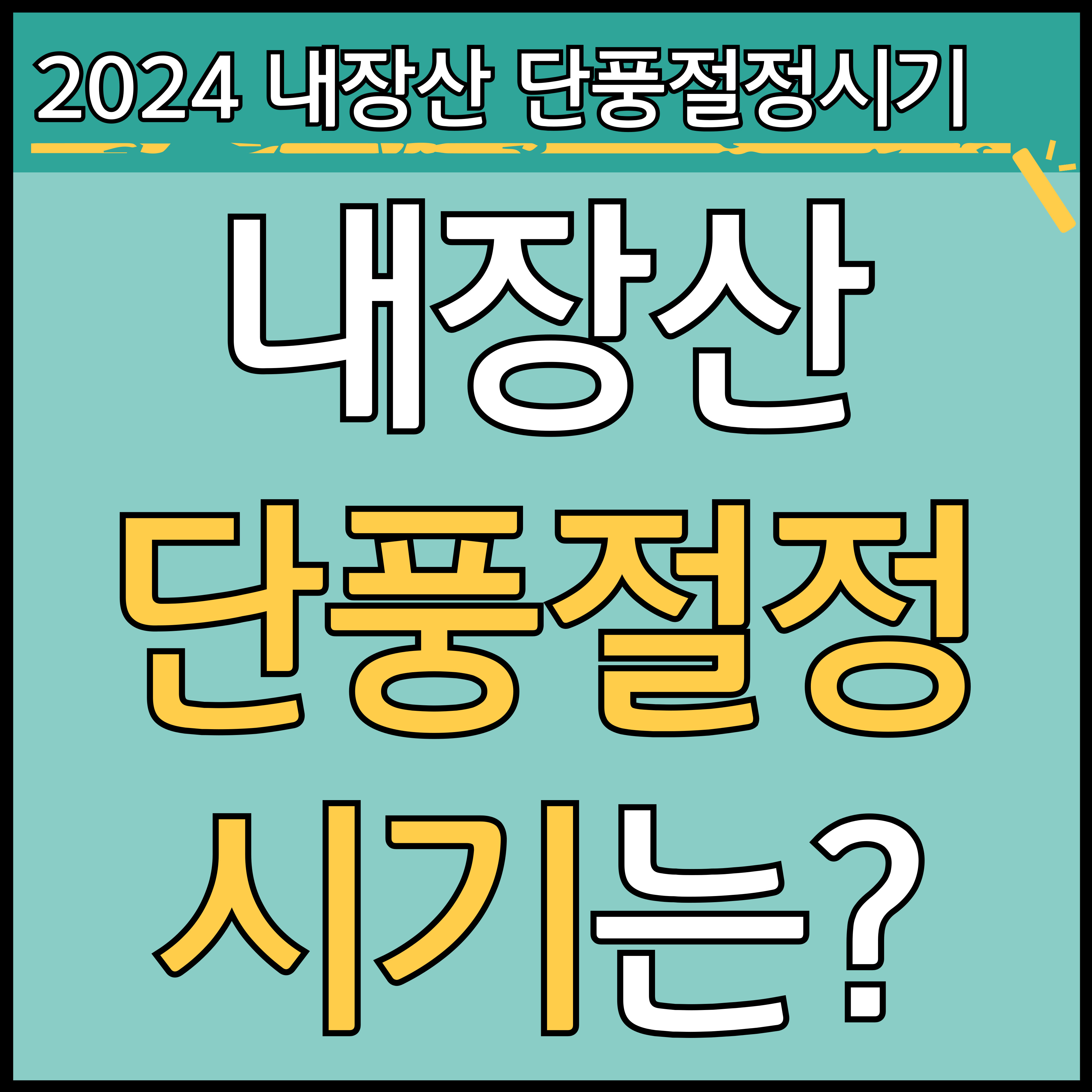 2024년 내장산 단풍절정시기 썸네일