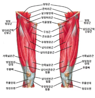 무릎-관절염에-좋은-운동-주의사항