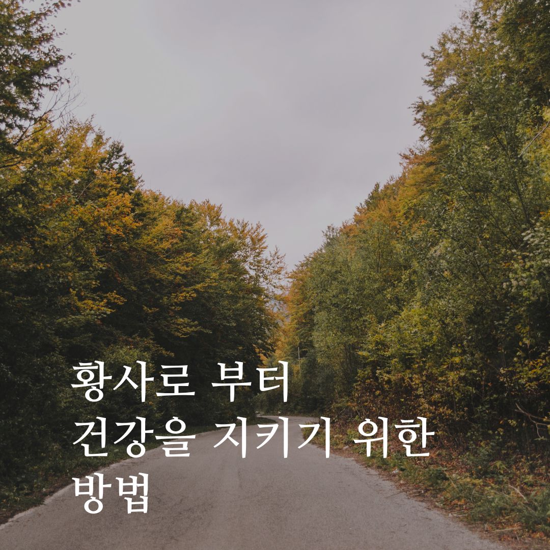 황사 미세먼지