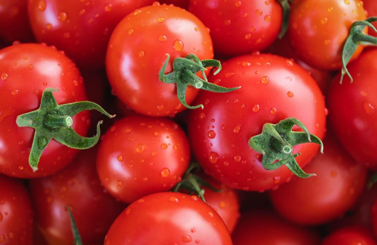 암 예방에 도움 되는 토마토