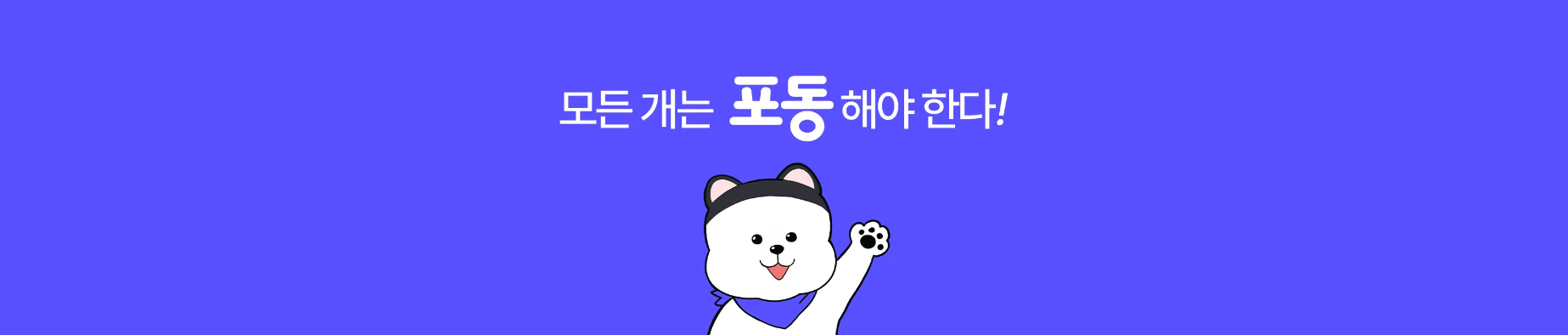 반려견 비행기 탑승 제주도 전용기 운항 서비스 티켓 가격 예매 방법 엘지유플러스 포동