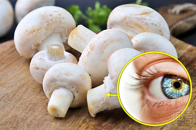 속눈썹 길어지는 음식 양송이버섯 속눈썹연장