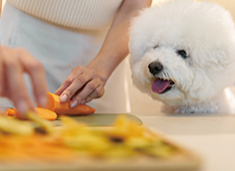 한국자격증협회 지원 인기 자격증 종류