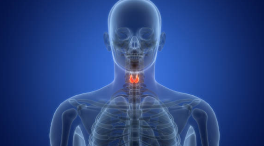 갑상선암 증상&amp;#44; 수술후 회복기간&amp;#44; 수술후 좋은음식 총정리 (2024ver)