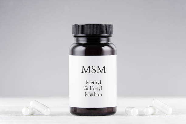 MSM이란?