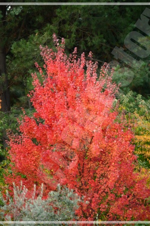 서울숲역 3번 출구와 바로 연결된 공원 입구의 가을 풍경 