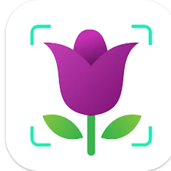 사진으로 식물이름 찾기