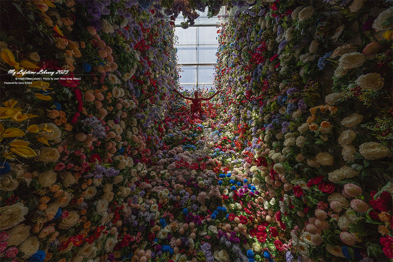 하슬라아트월드