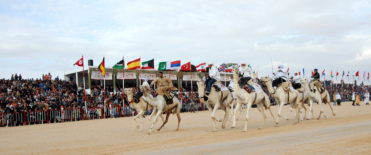 호주 낙타 경주 축제 (Camel Cup) - 사막의 이색 축제