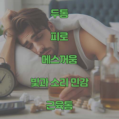 술-마신뒤-증상