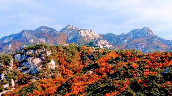 서울 단풍명소 TOP10 ❘ 2025 가을 여행 추천 스팟 총정리 관련 사진