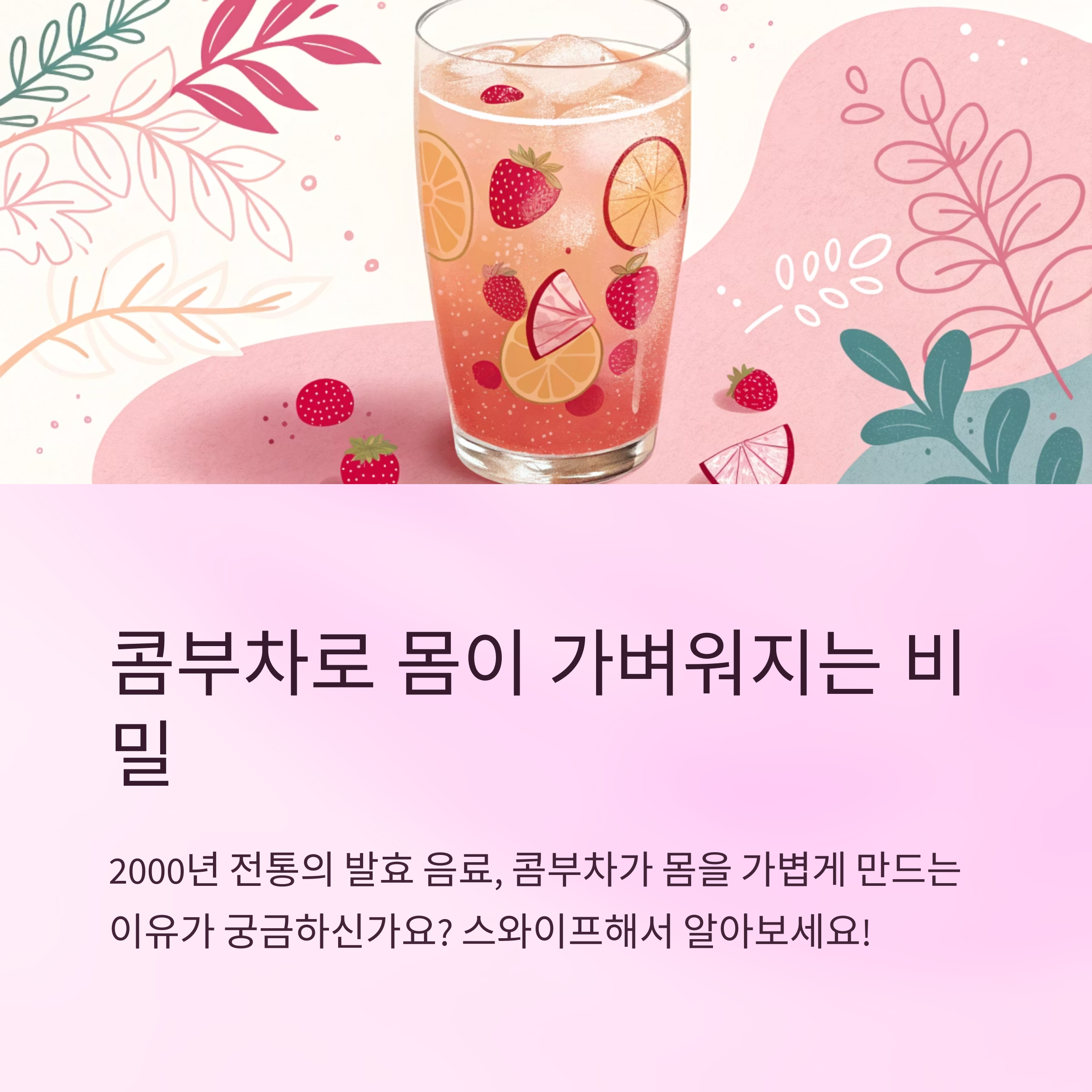 콤부차 효능 몸이 가벼워지는 이유