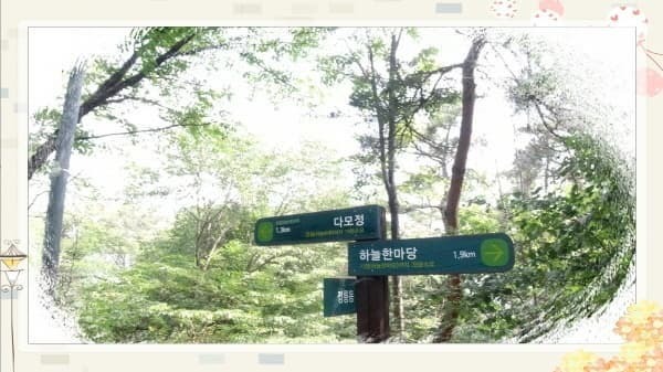 북악스카이웨이 산책로 완벽 가이드: 초보자도 쉽게 따라하는 코스 