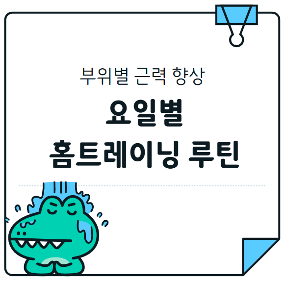 부위별 근력 향상을 위한 요일별 홈트레이닝 루틴