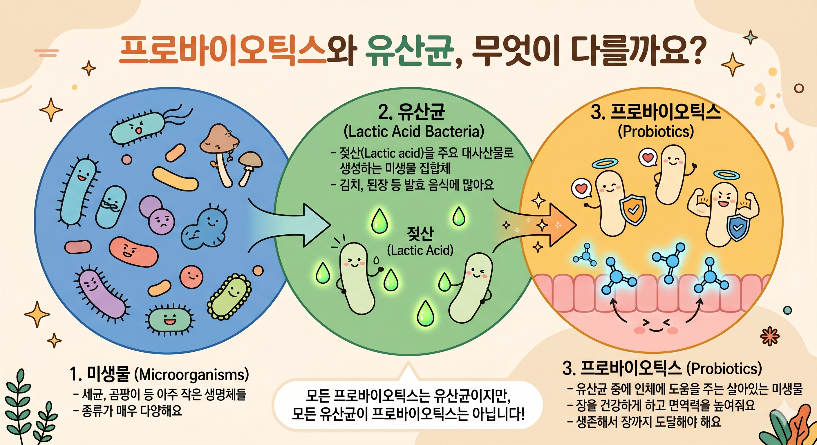 유산균 중에 인체에 유익한 균만을 프로바이오틱스라고 칭한다는 것을 설명하는 그림