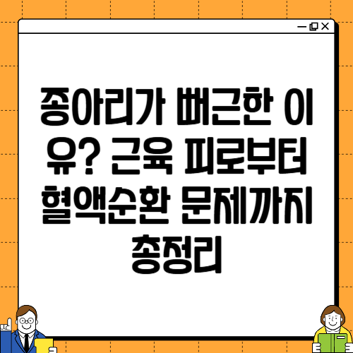 종아리가 뻐근한 이유? 근육 피로부터 혈액순환 문제까지 총정리
