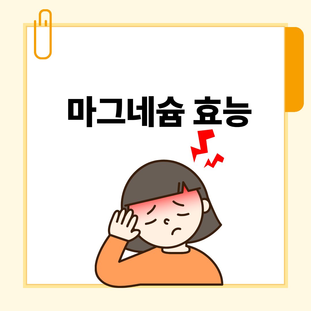 마그네슘효능