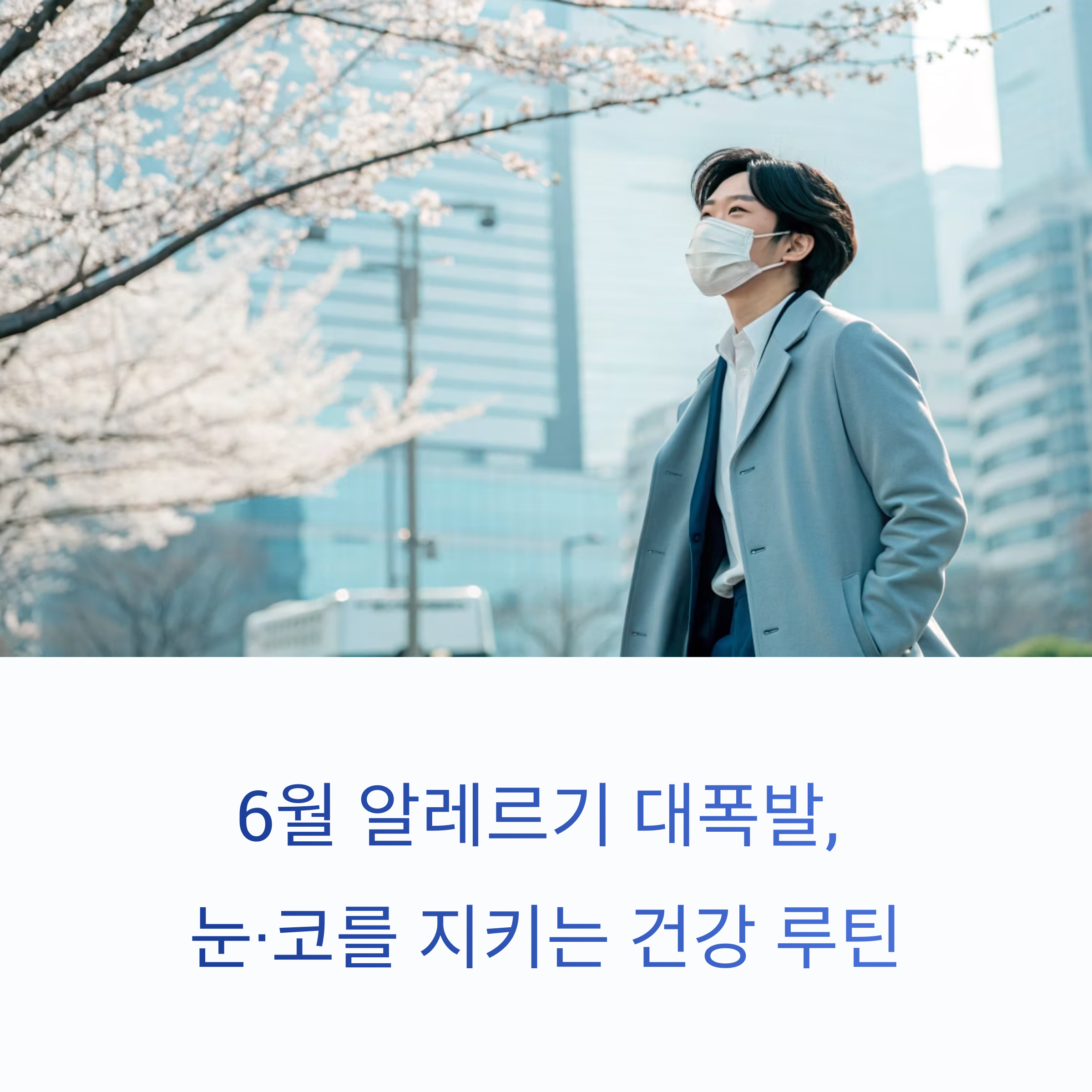 6월 알레르기 대폭발, 눈·코를 지키는 건강 루틴의 모든 것