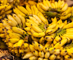 역류성식도염에 좋은 음식 영양제 식단