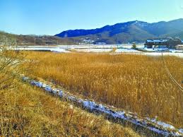 농지연금 수령액 계산 방법