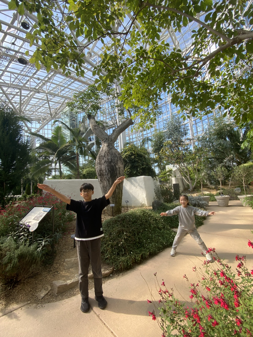 세종 아이와 가볼 만 한 곳 (세종수목원)