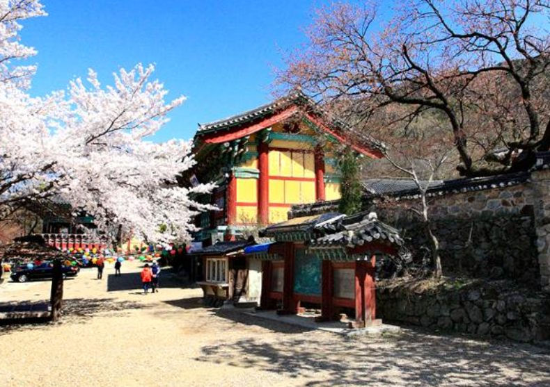 3월 국내여행지 베스트 10