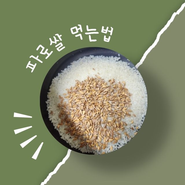 파로쌀