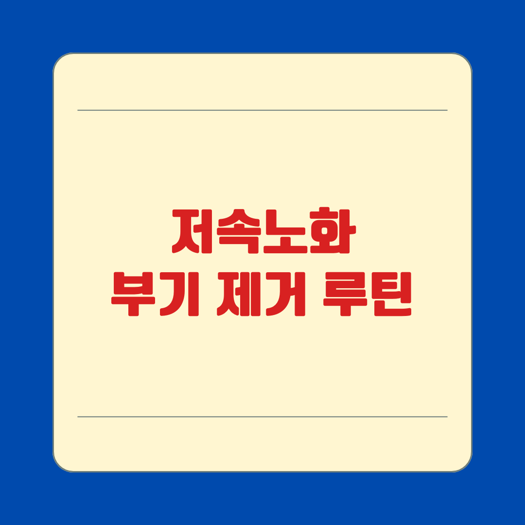 저속노화 부기 제거 루틴
