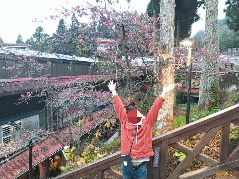 아리산