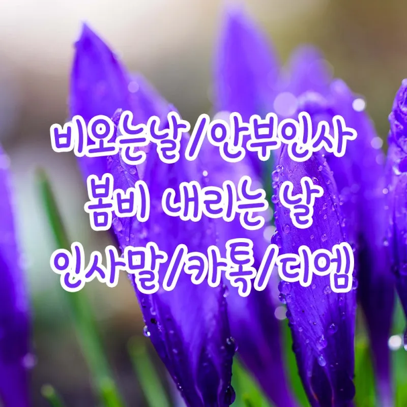 봄비 인사말 이미지 비오는날 일러스트_7